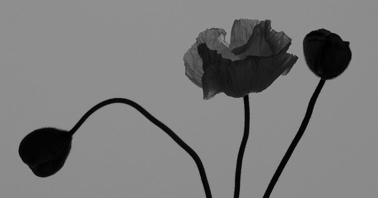 The Trouble with Using Alcohol in Skincare | Gaelle Organic