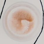 Beta-Hydroxy | Gaelle Organic | Natural Exfoliant | Willow Bark