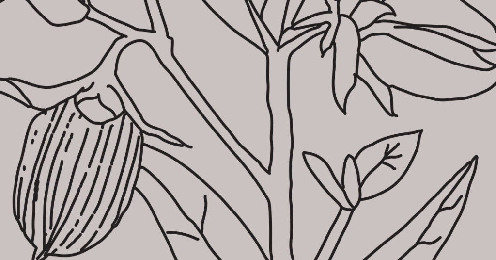 wax, jojoba wax, gaelle organic