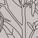 wax, jojoba wax, gaelle organic