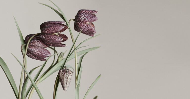 Gaelle Organic Newsletter 8-30-18 Path to Clean Beauty | Gaelle Organic