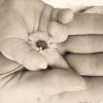 Pregnancy Safe Skincare Routine: Ingredients To Avoid While Pregnant and Beyond | Gaelle Organic