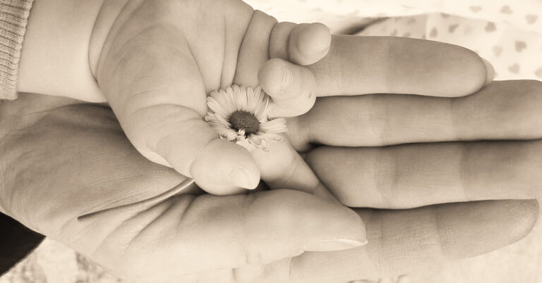 7 Skincare Ingredients to Avoid for A Pregnancy Safe Skincare Routine and Beyond Pregnancy Safe Skincare Routine: Ingredients To Avoid While Pregnant and Beyond | Gaelle Organic