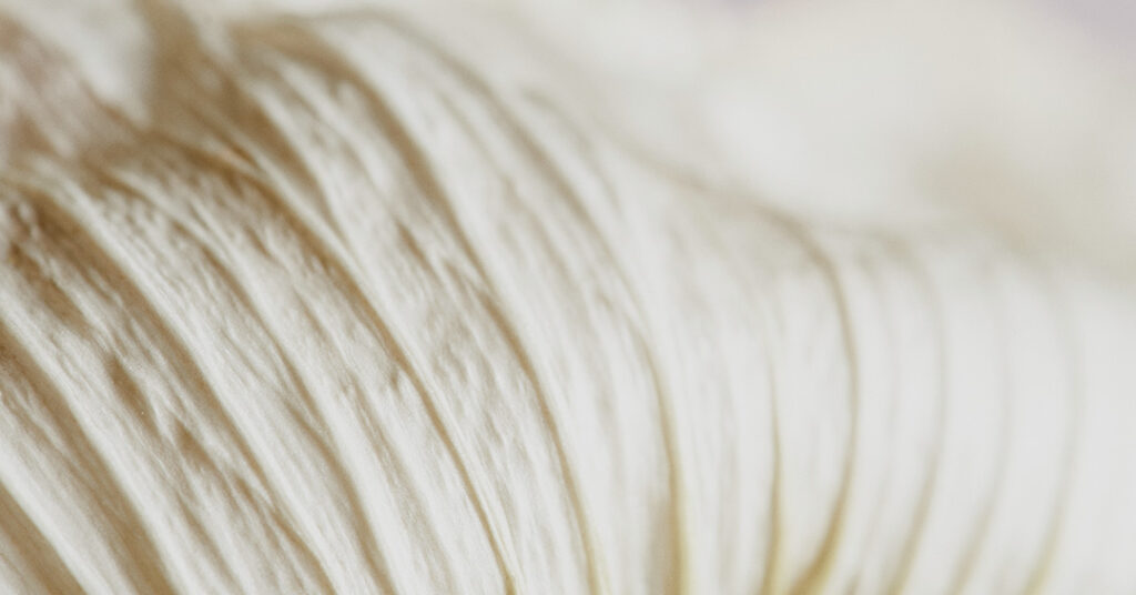 3 Ways To Transition Winter Skin from Sensitive Dryness to Silky Smooth Radiance Winter Skin | Gaelle Organic | Organic Skincare | 3 Ways To Transition Winter Skin from Sensitive Dryness to Silky Smooth Radiance